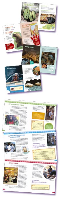 Examples of Primary page layout
